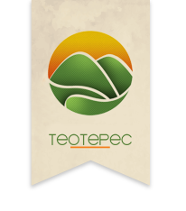 Campamento Teotepec  Inscribete Ya